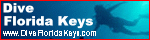 Dive Florida Keys
